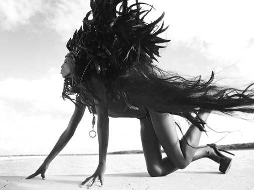 Lioness - 180x120 cm