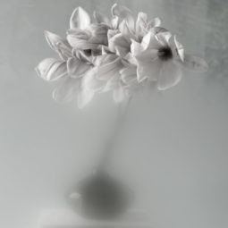 Principles of Spring l