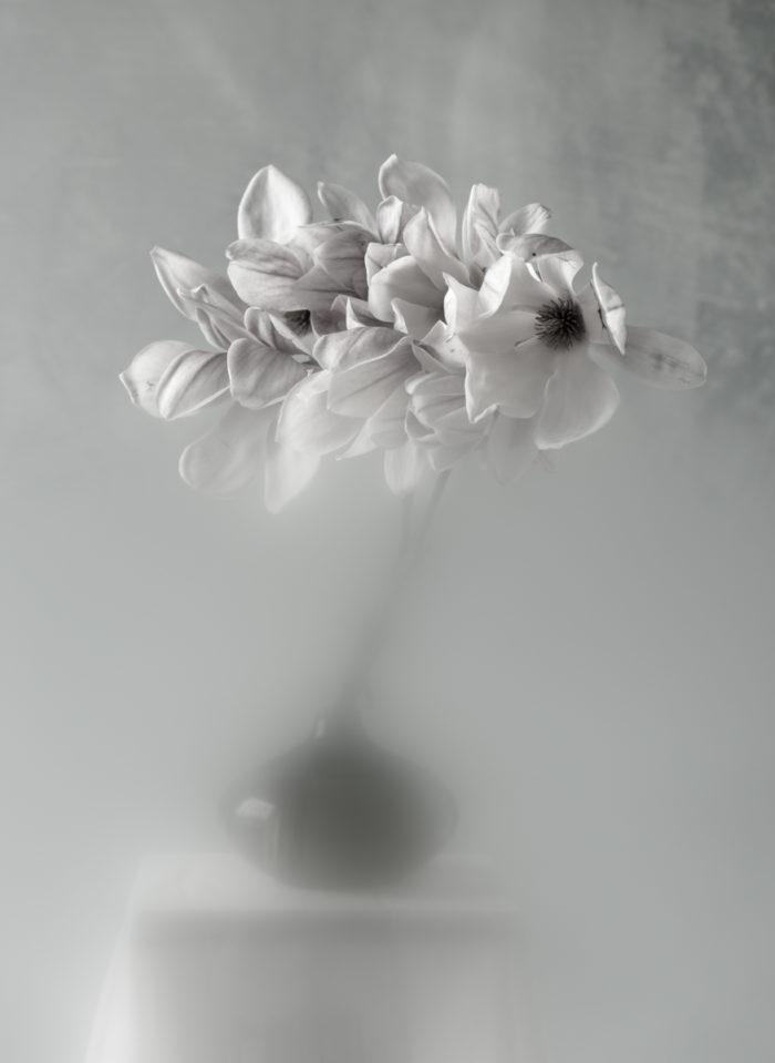 Principles of Spring l