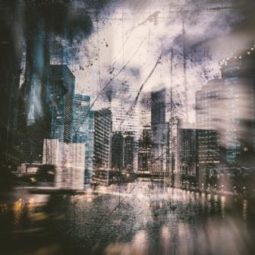 Trembling Trump Chicago