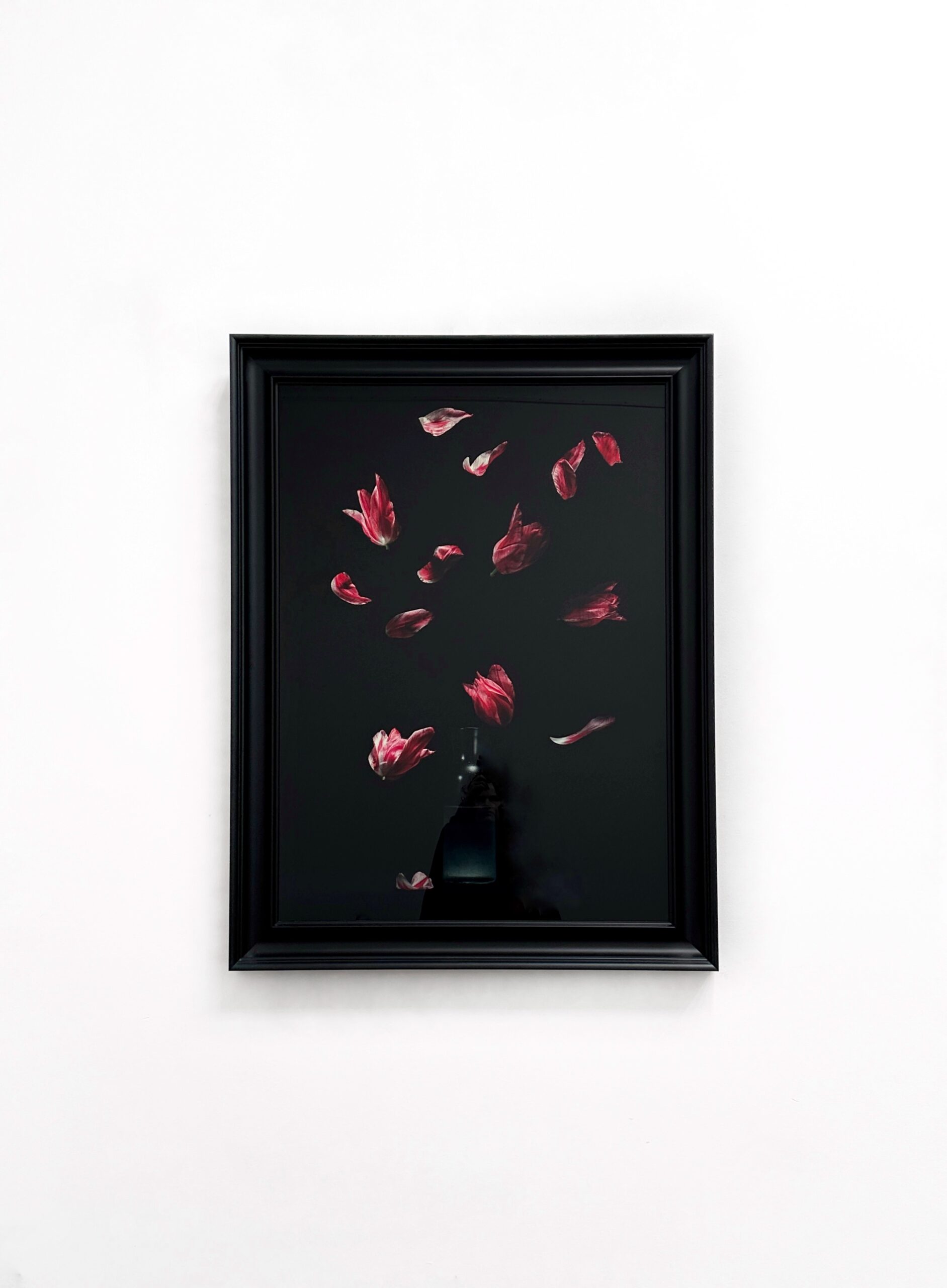 Dutch Flower Bomb XXV