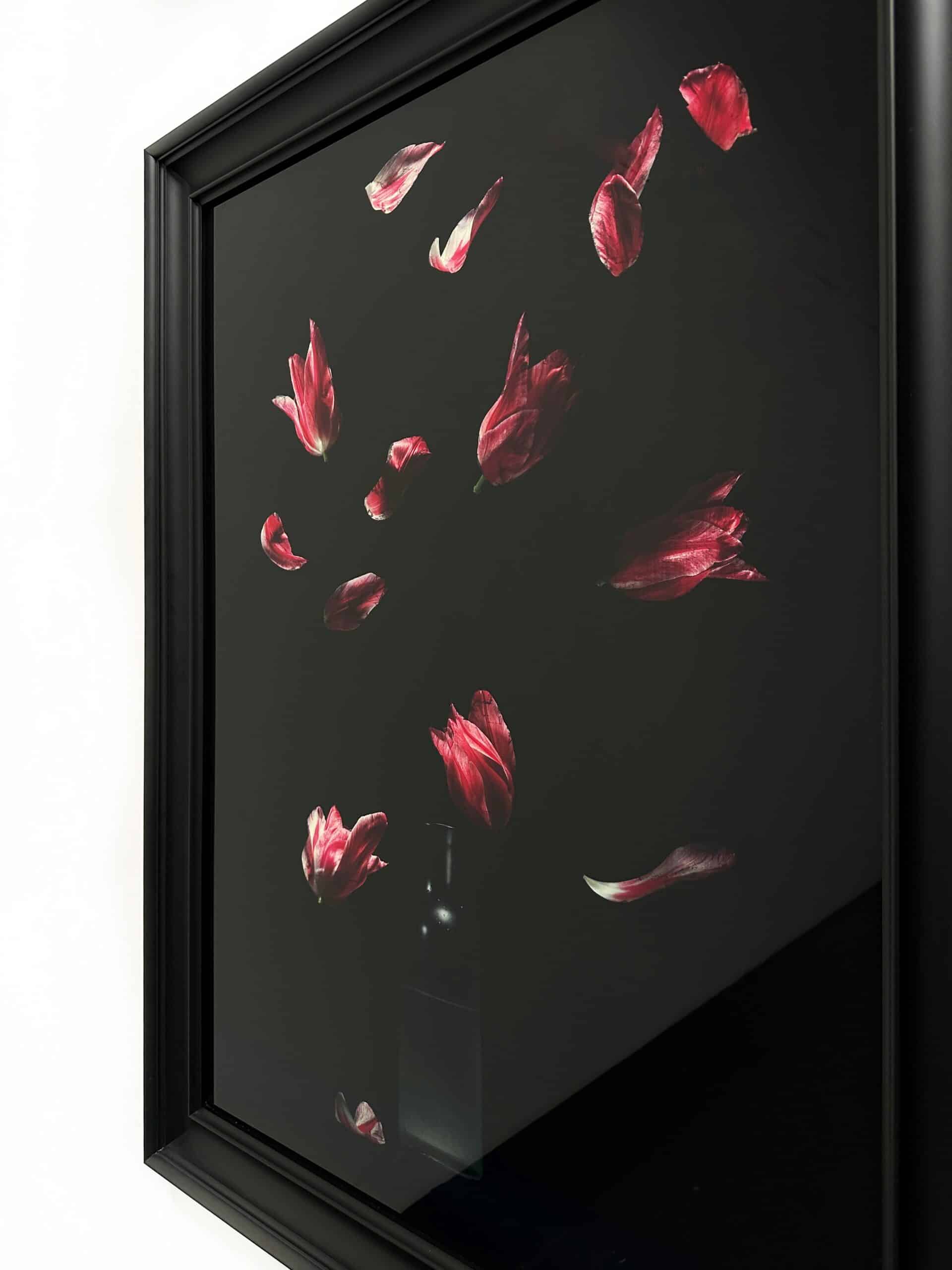 Dutch Flower Bomb XXV