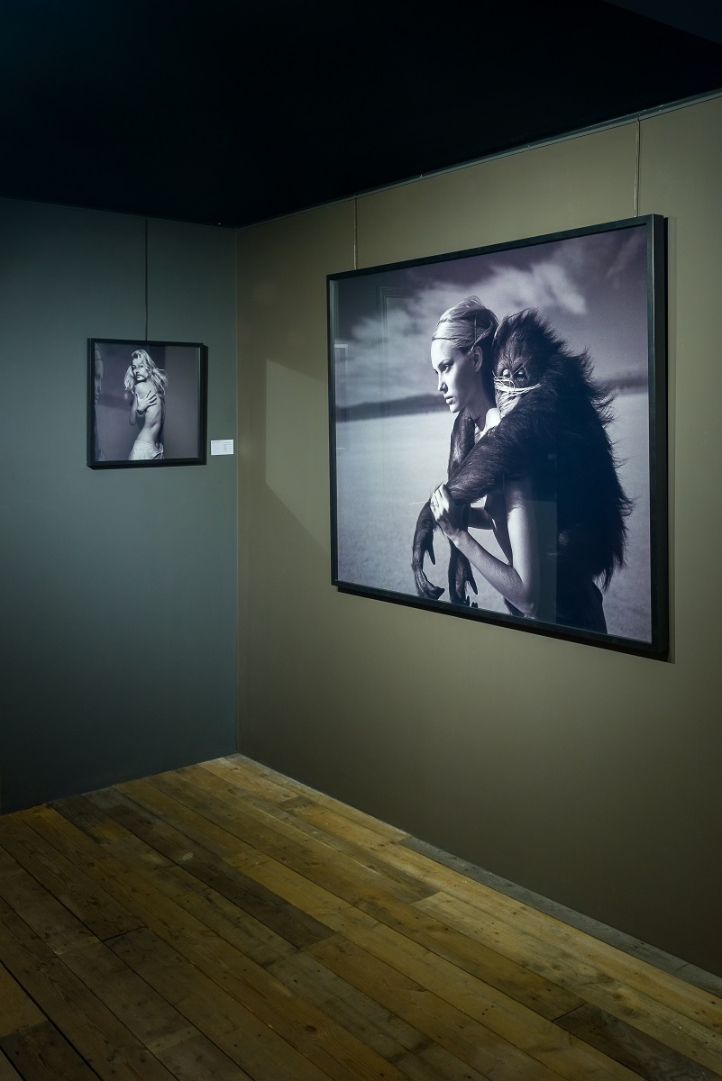 Mike Tyson, Interview I, 1990