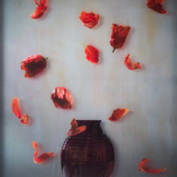 World flower bomb II