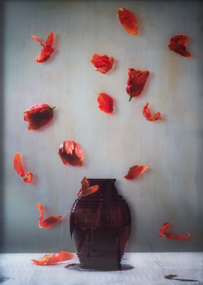 World flower bomb II