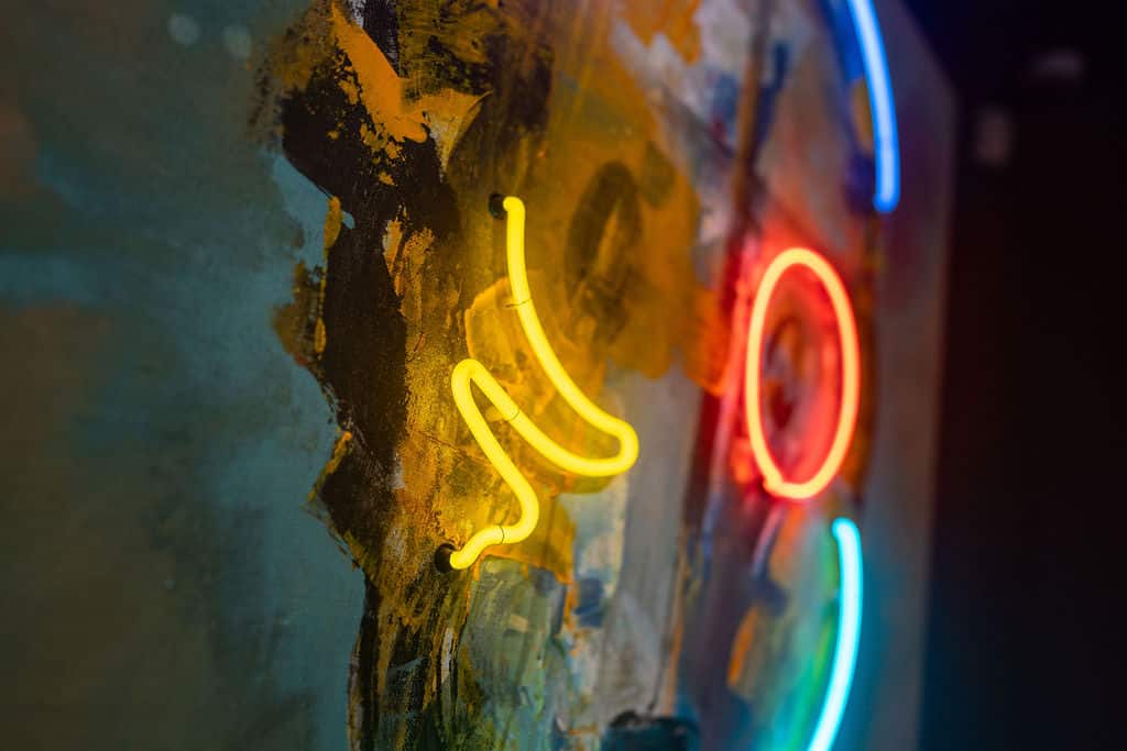 Serie Retratos; Neon 5