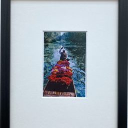 Flower Seller: Dal Lake, Srinagar, Kashmir, 1996