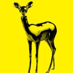 The Revival of the Bambi - Yellow