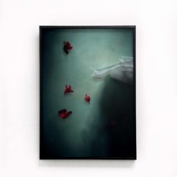 Silence of Gravity V