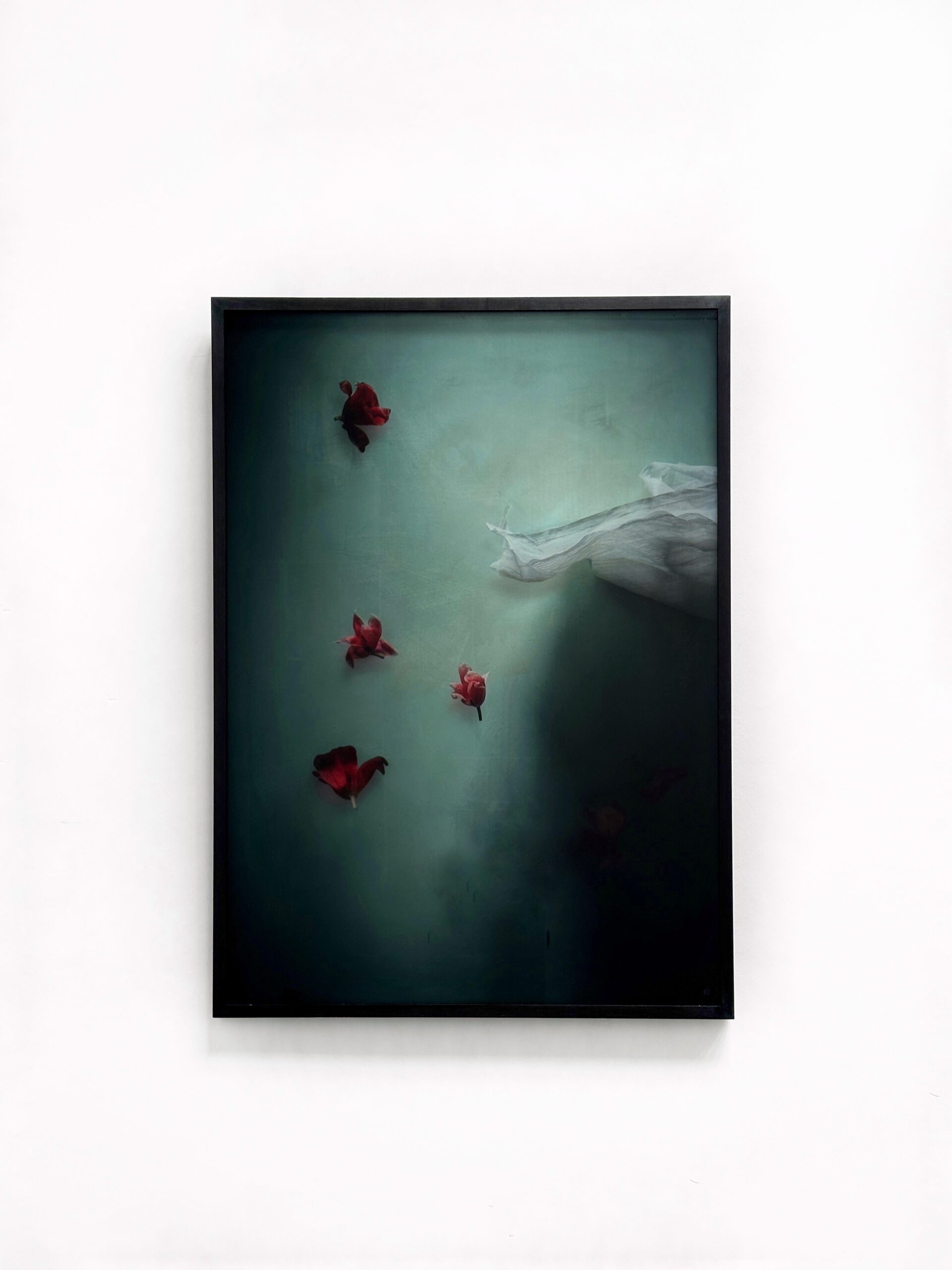 Silence of Gravity V