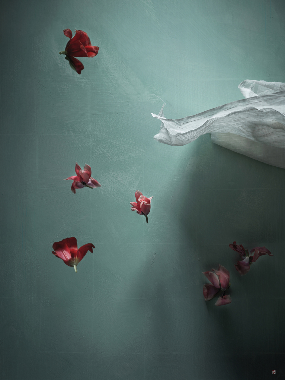 Silence of Gravity V