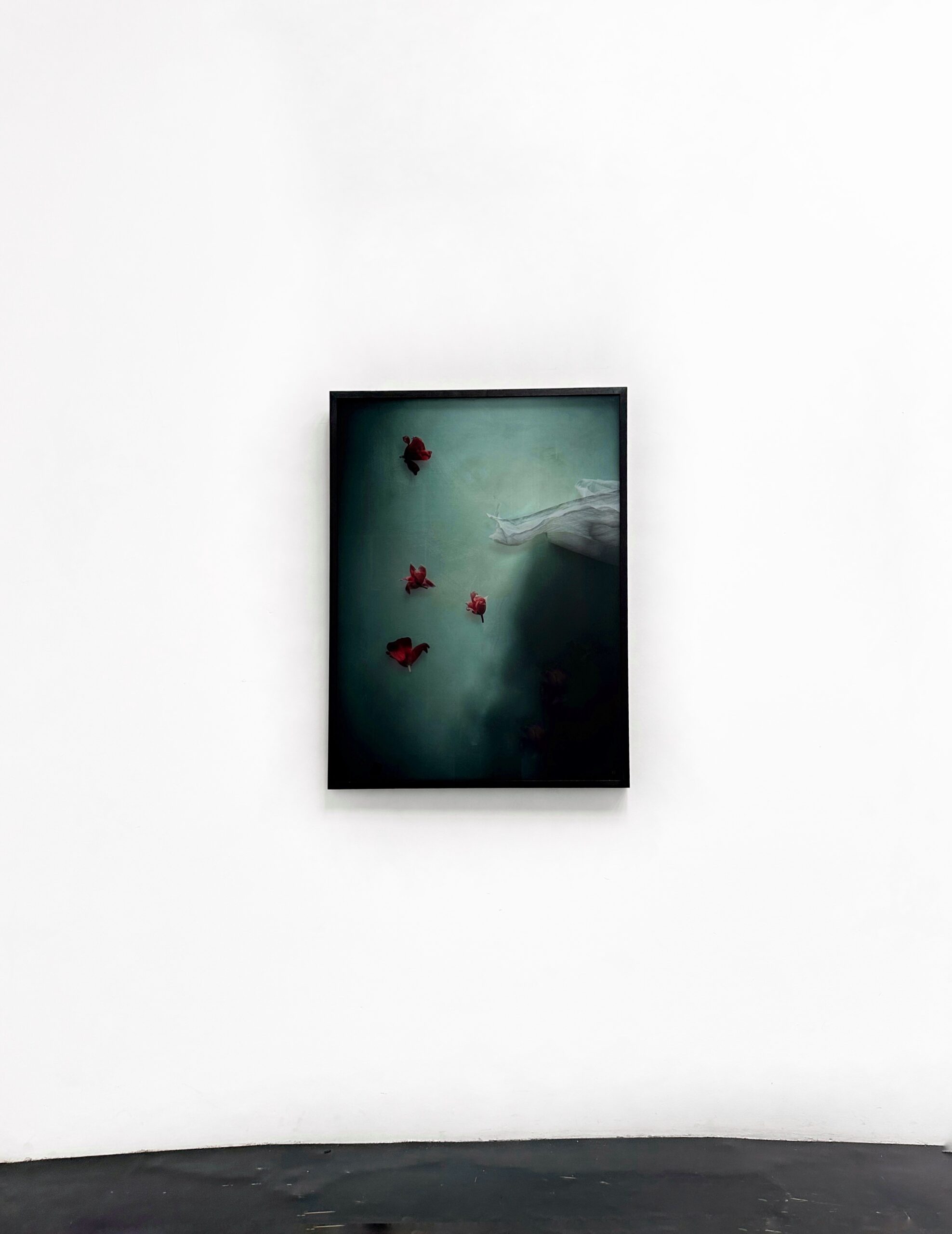 Silence of Gravity V