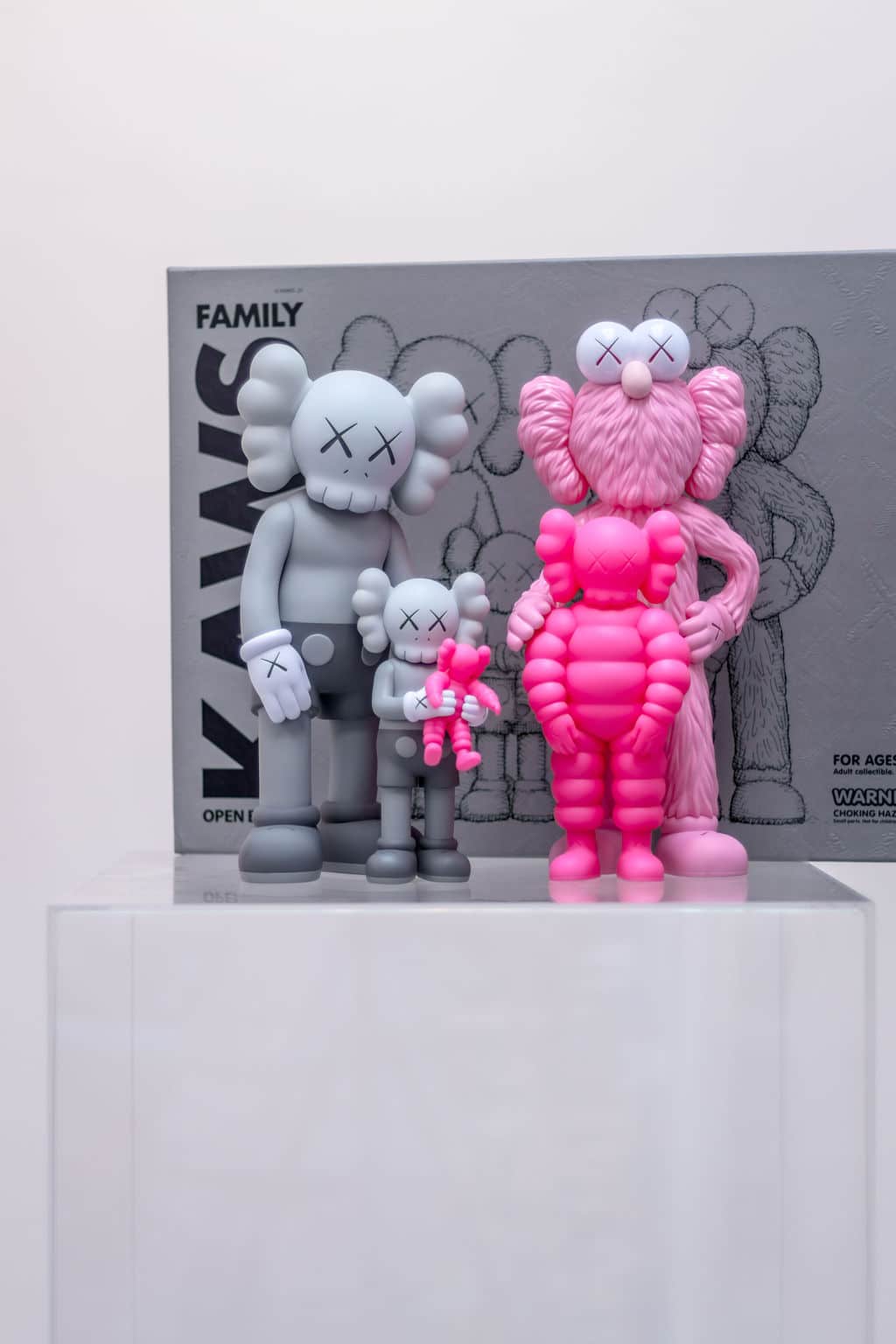 KAWS Family - grey/pink