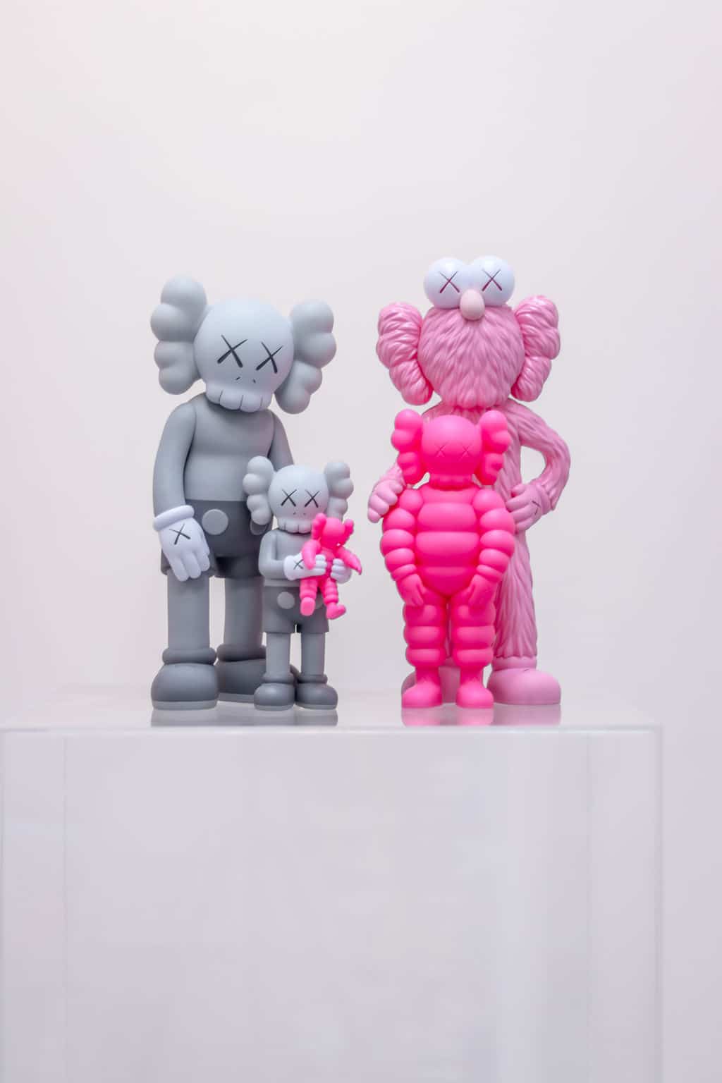 KAWS Family - grey/pink