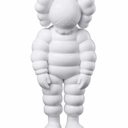 KAWS What Party - white
