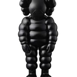KAWS What Party - black