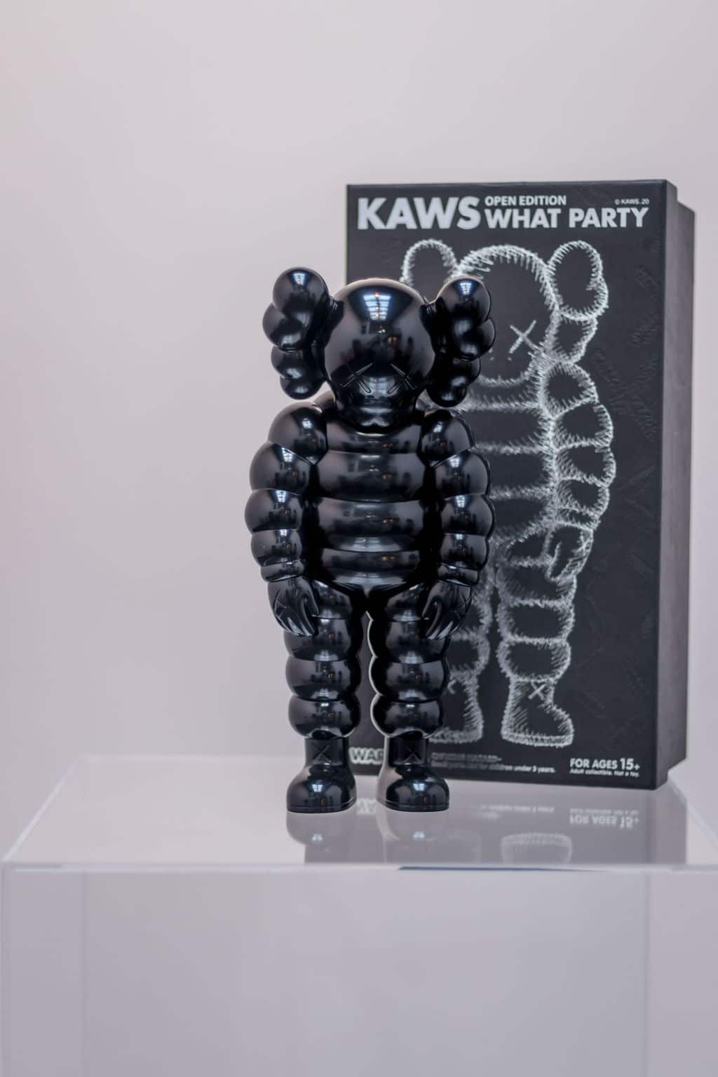 KAWS What Party - black