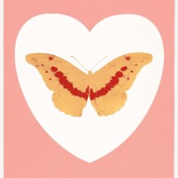 'I Love You' White Pink Cool Gold Poppy Red 2015