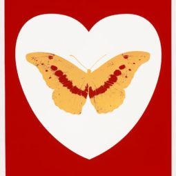 'I Love You' White Red Cool Gold Poppy Red 2015