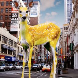Yellow Bambi