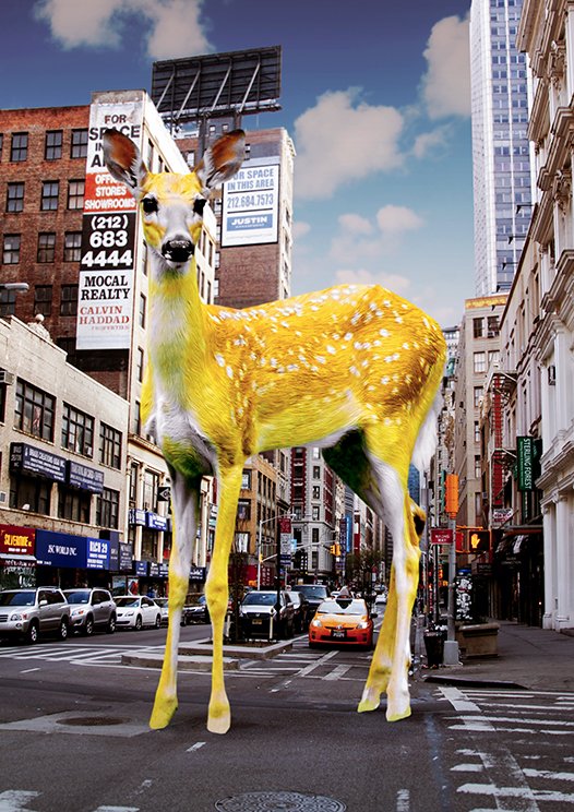 Yellow Bambi