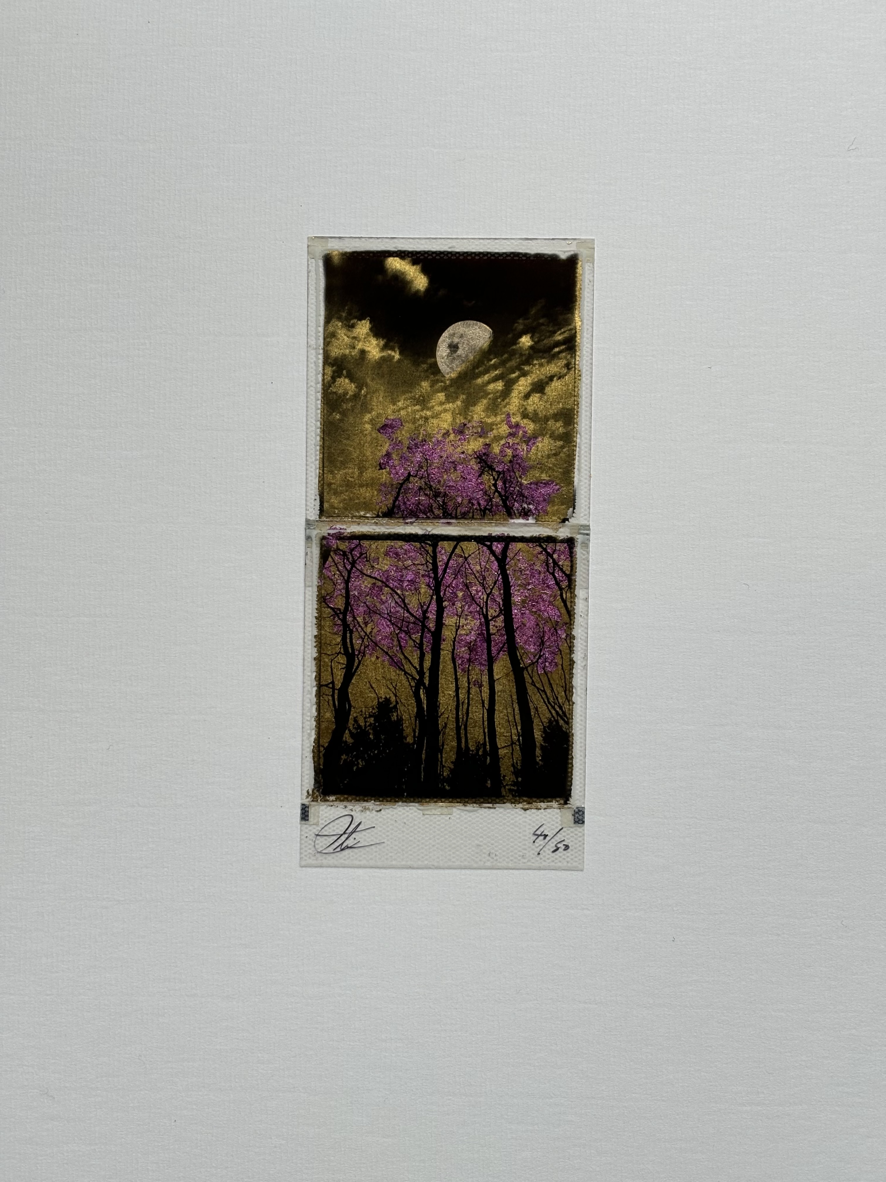 Splitting of the light - gold/pink