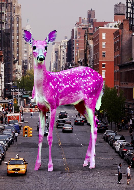 Pink Bambi