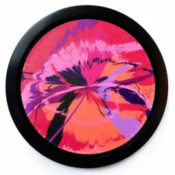 Delicately trained Powerful and Brilliant Supernova