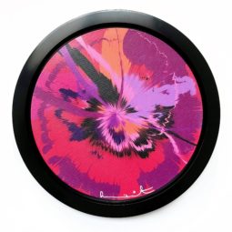 Excessively Good Jittery but Pleasant Supernova