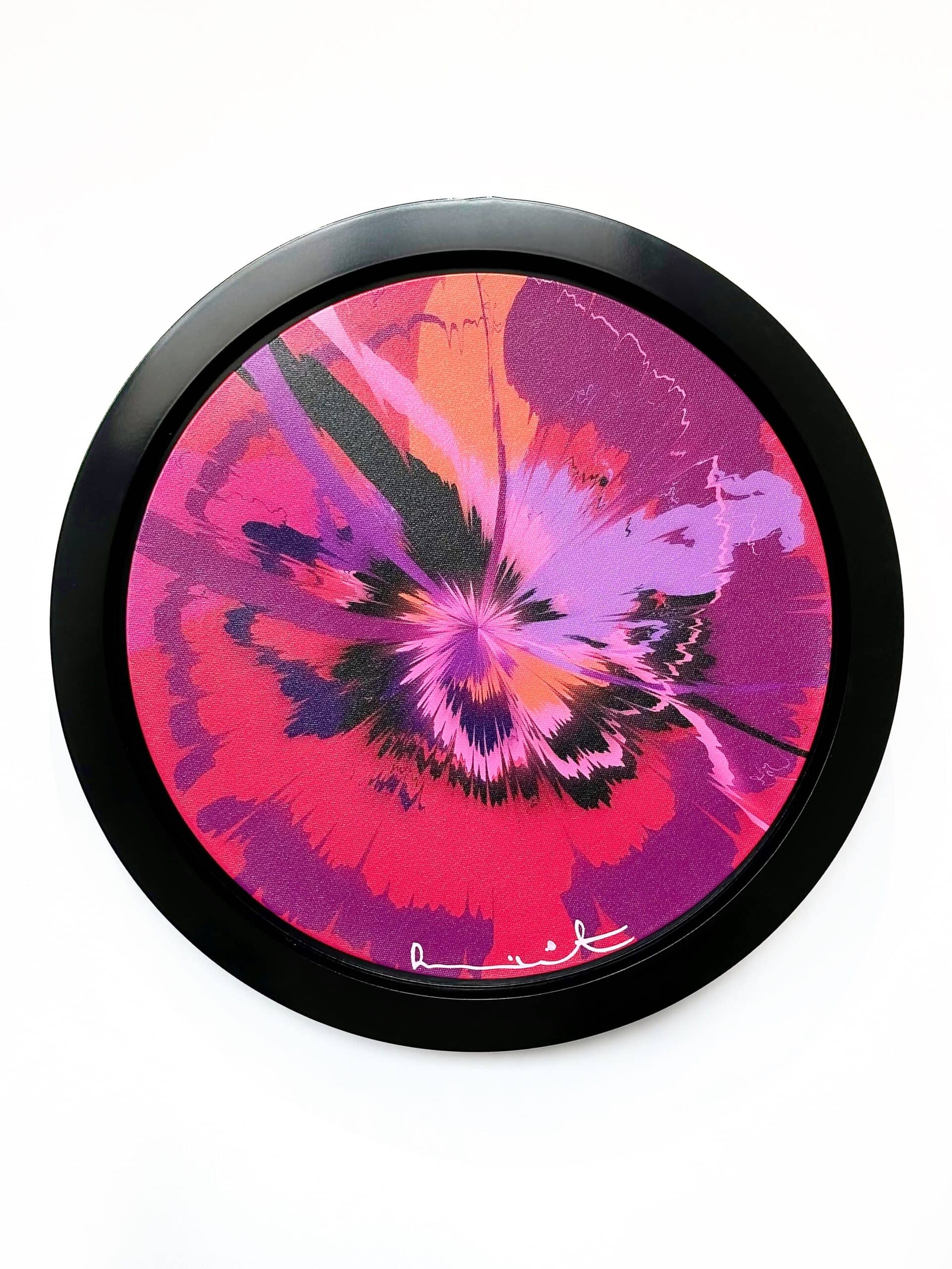 Excessively Good Jittery but Pleasant Supernova