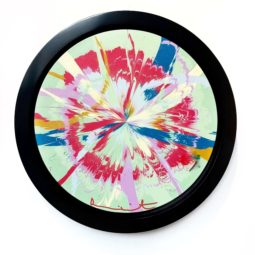 How Gentle full-voiced Supernova