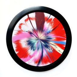 Slightly Sensitive Free but Gentle Heaven