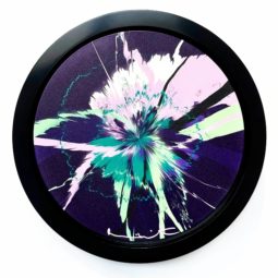 Too Earnest somewhat evasive Earnestness itself is Good Supernova