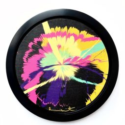 Very Unacademic utterly Perfect Supernova