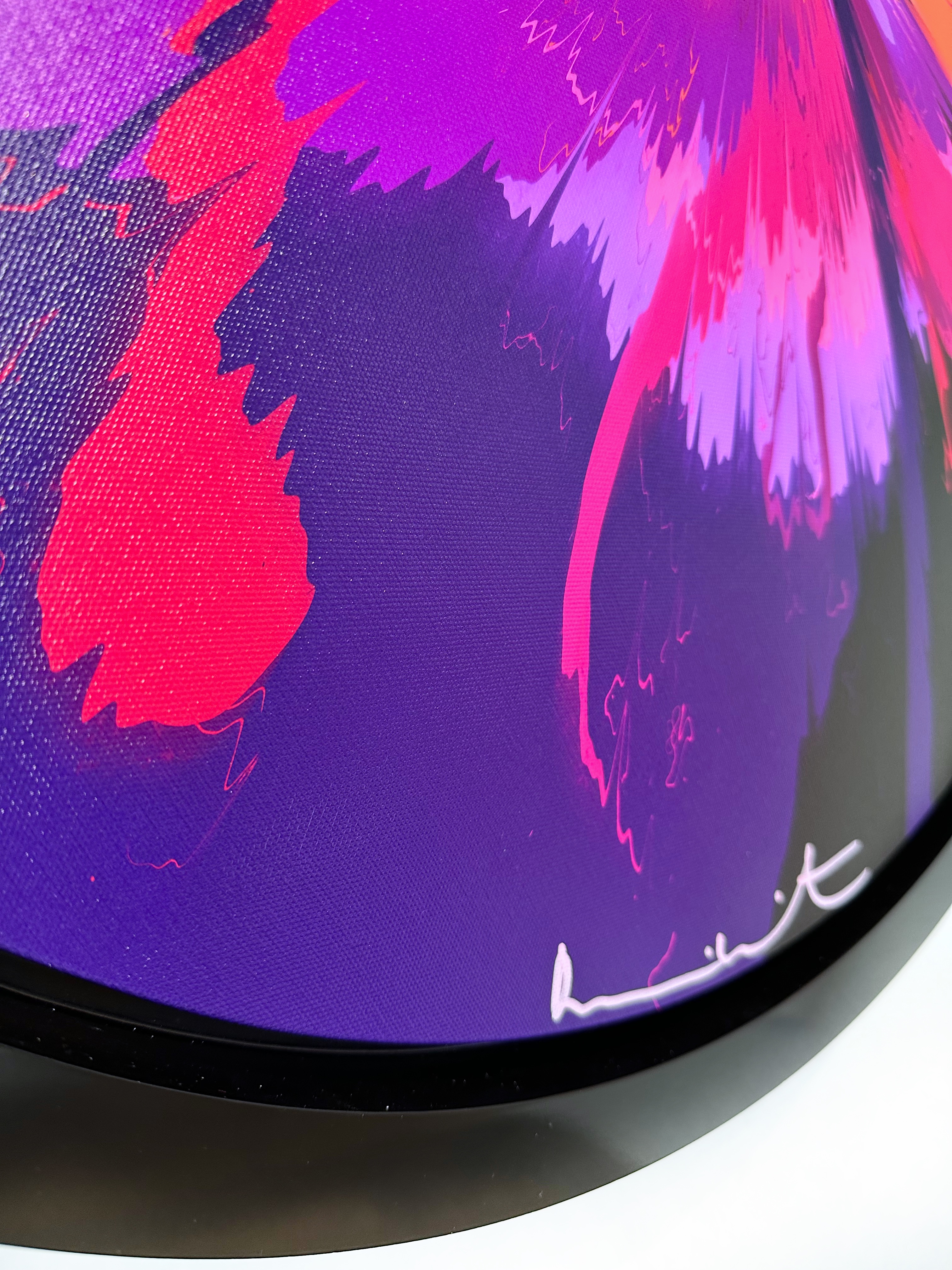 Wonderfully Kindharted Supernova