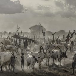 Manchild - Exclusive