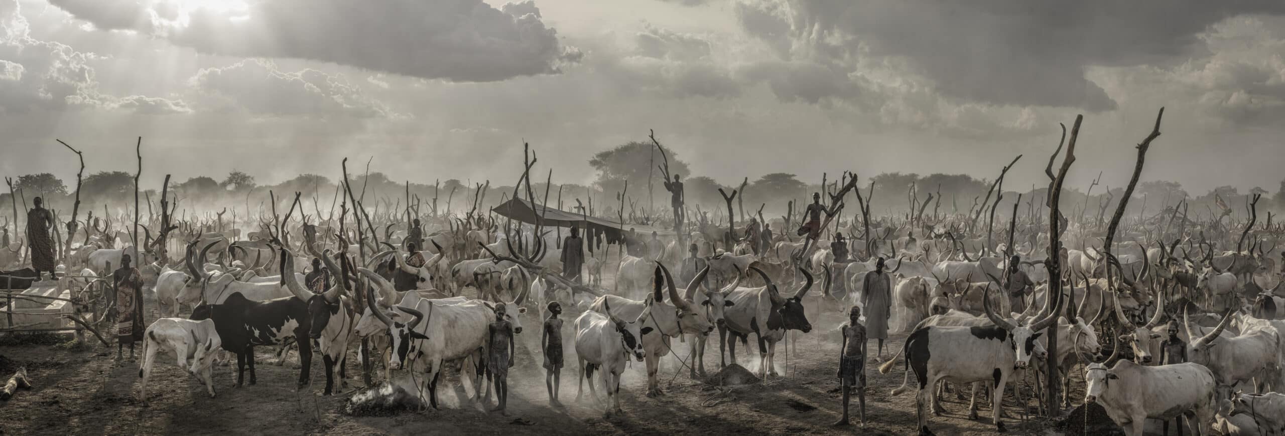 Manchild - Exclusive