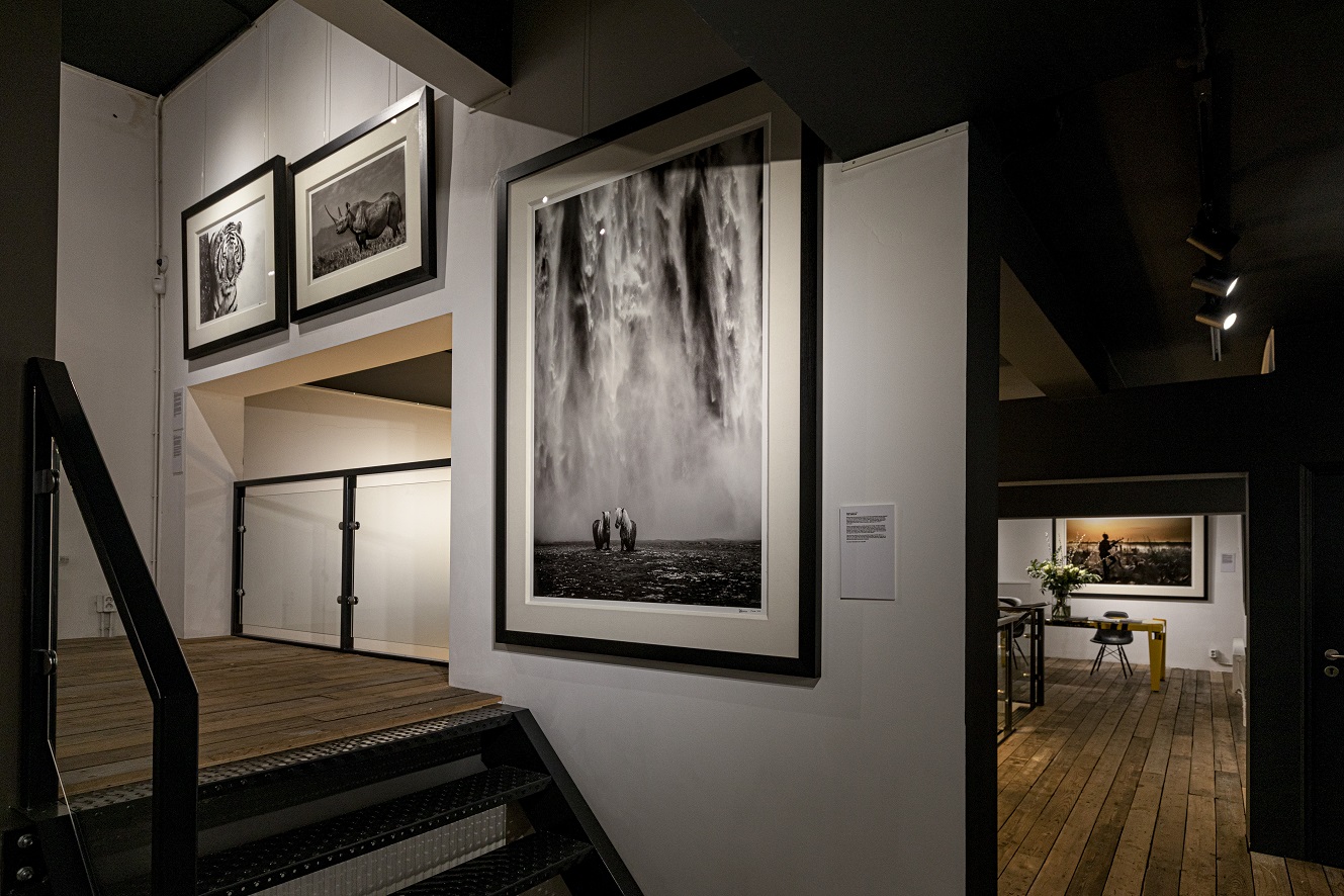 Good Morning Siberia