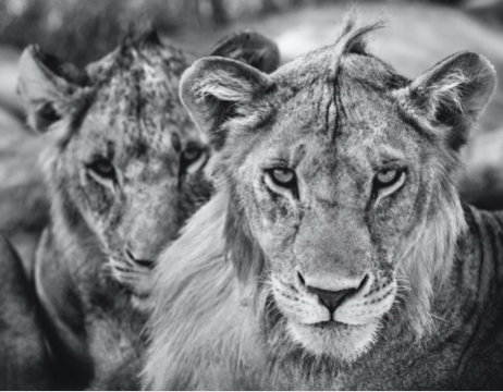 The Boys are Back in Town