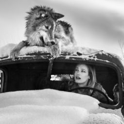 A Street car named Desire III