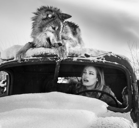 A Street car named Desire III