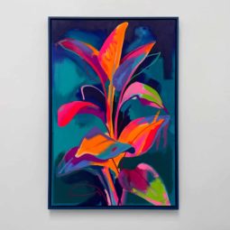 Bright days, dark nights