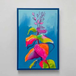 Invested in the sunshine