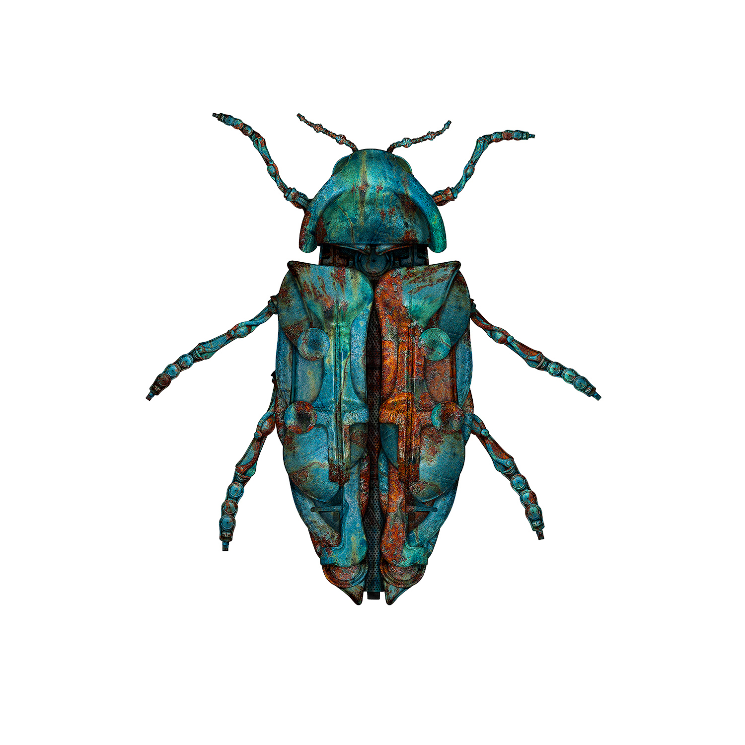 Jewel Beetle II