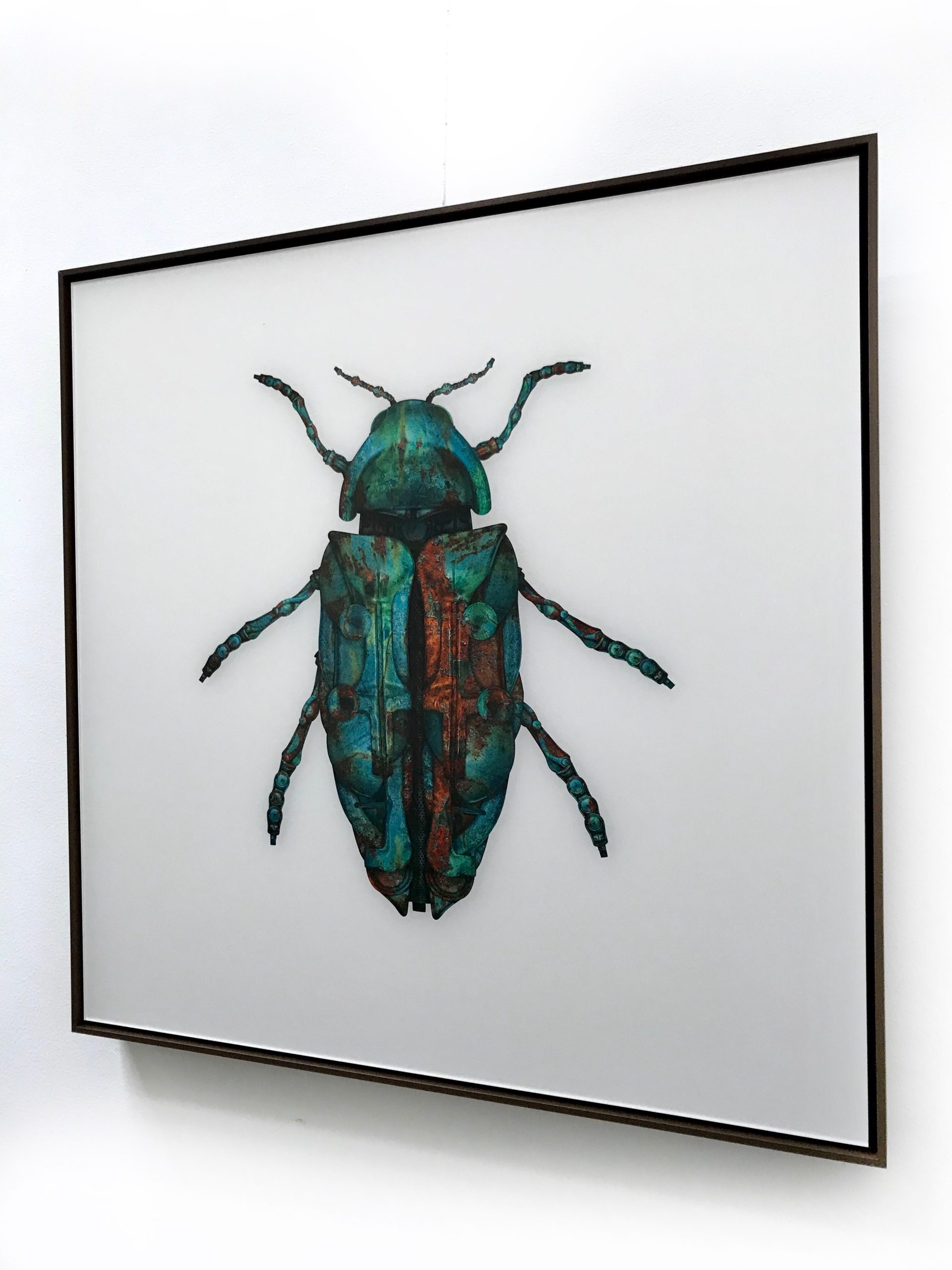 Jewel Beetle II