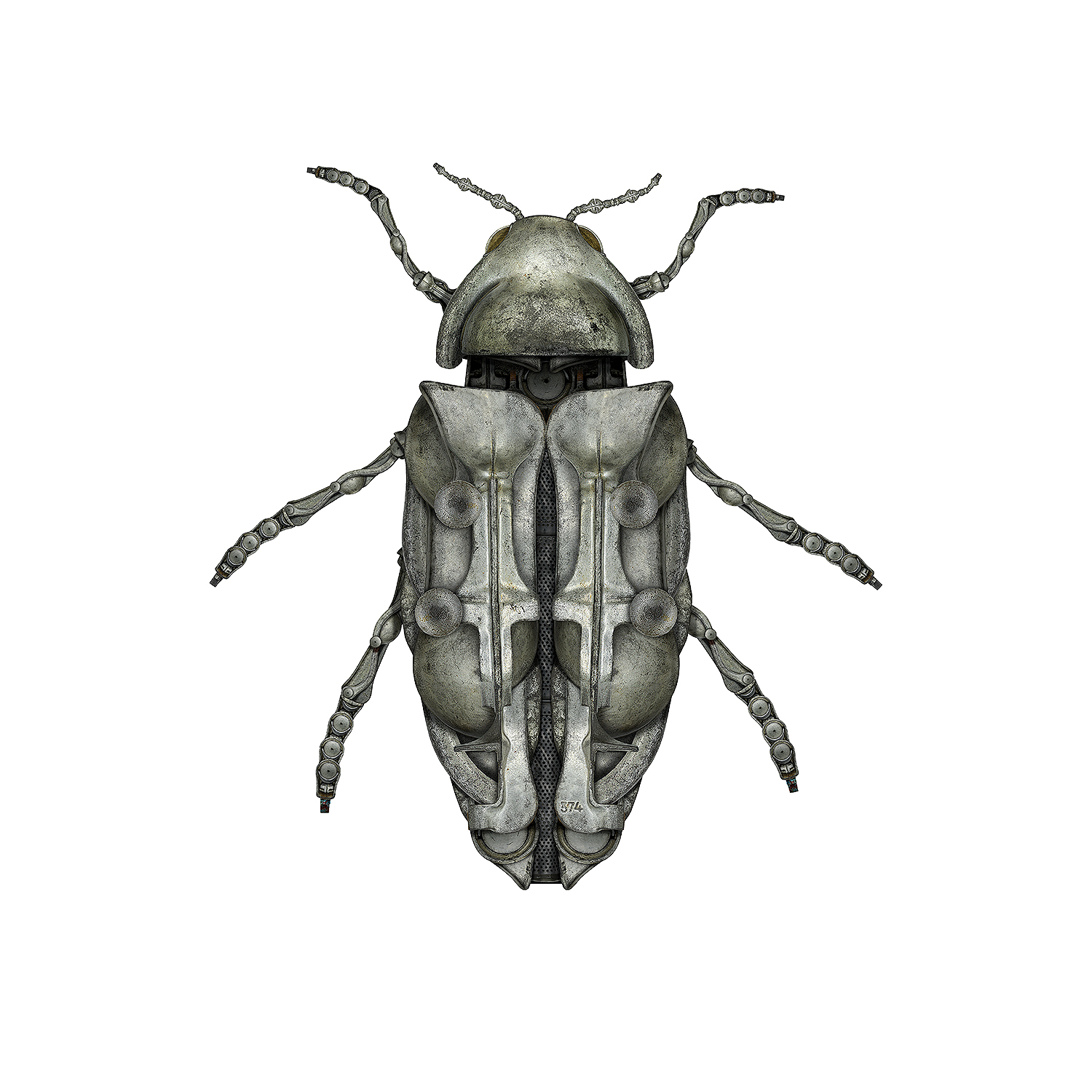 Jewel Beetle