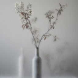 El conseguenza della Luce I