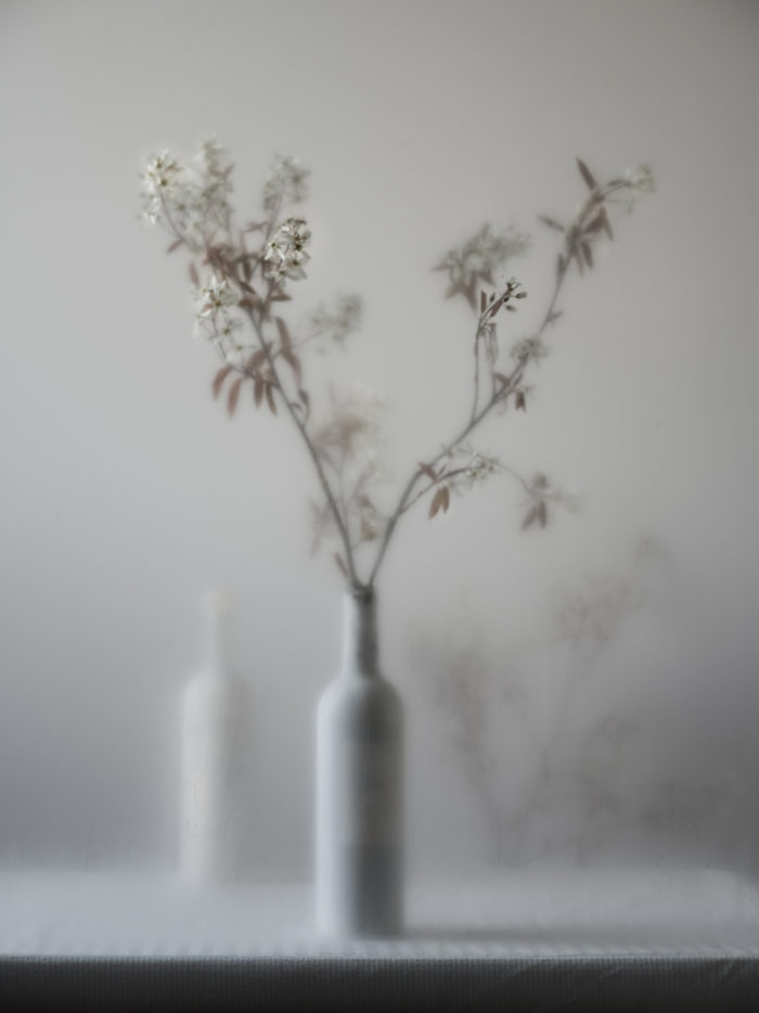 El conseguenza della Luce I