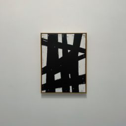 Life, interrupted VI