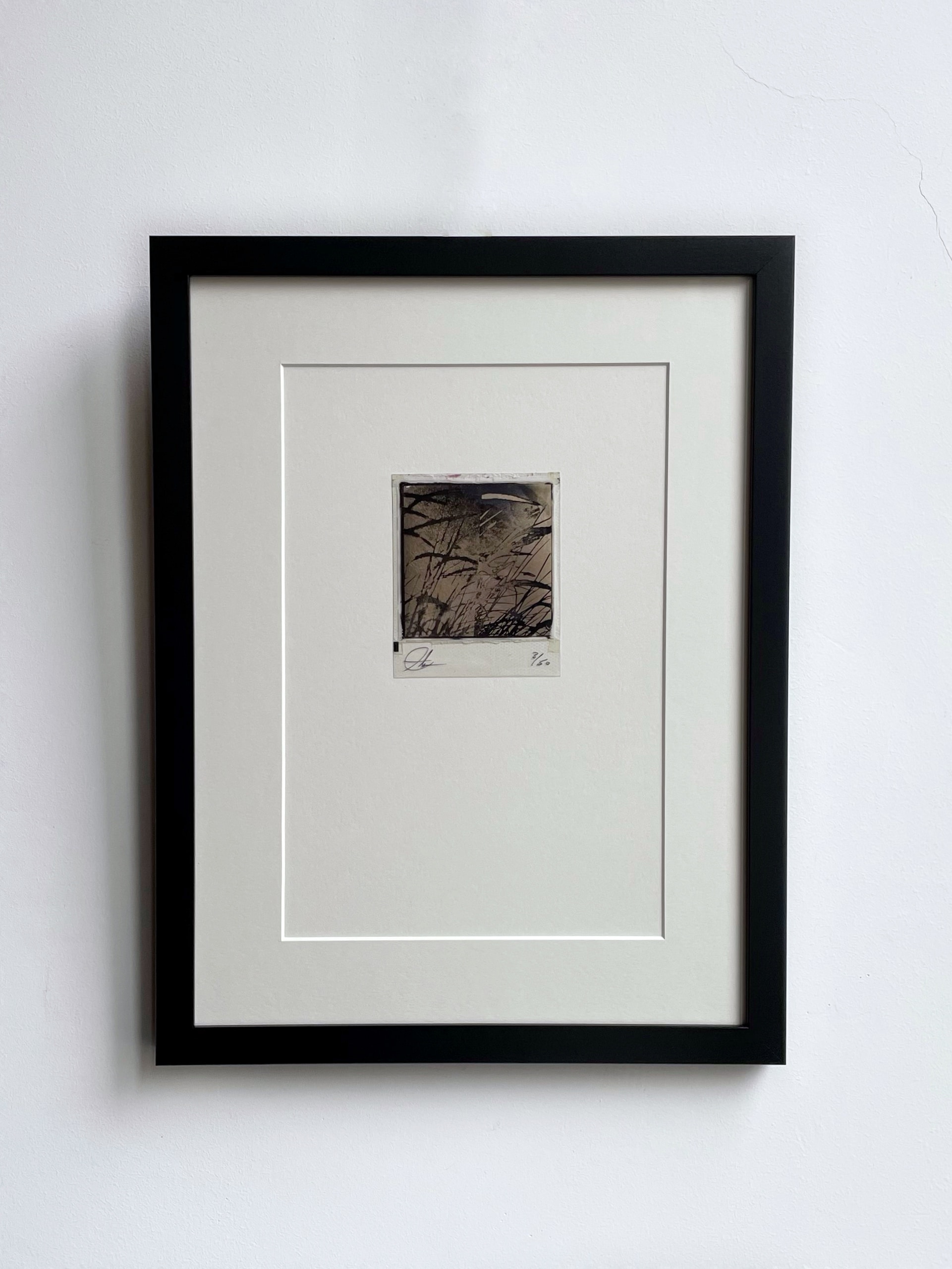 Ghost Reeds - Champagne Gold